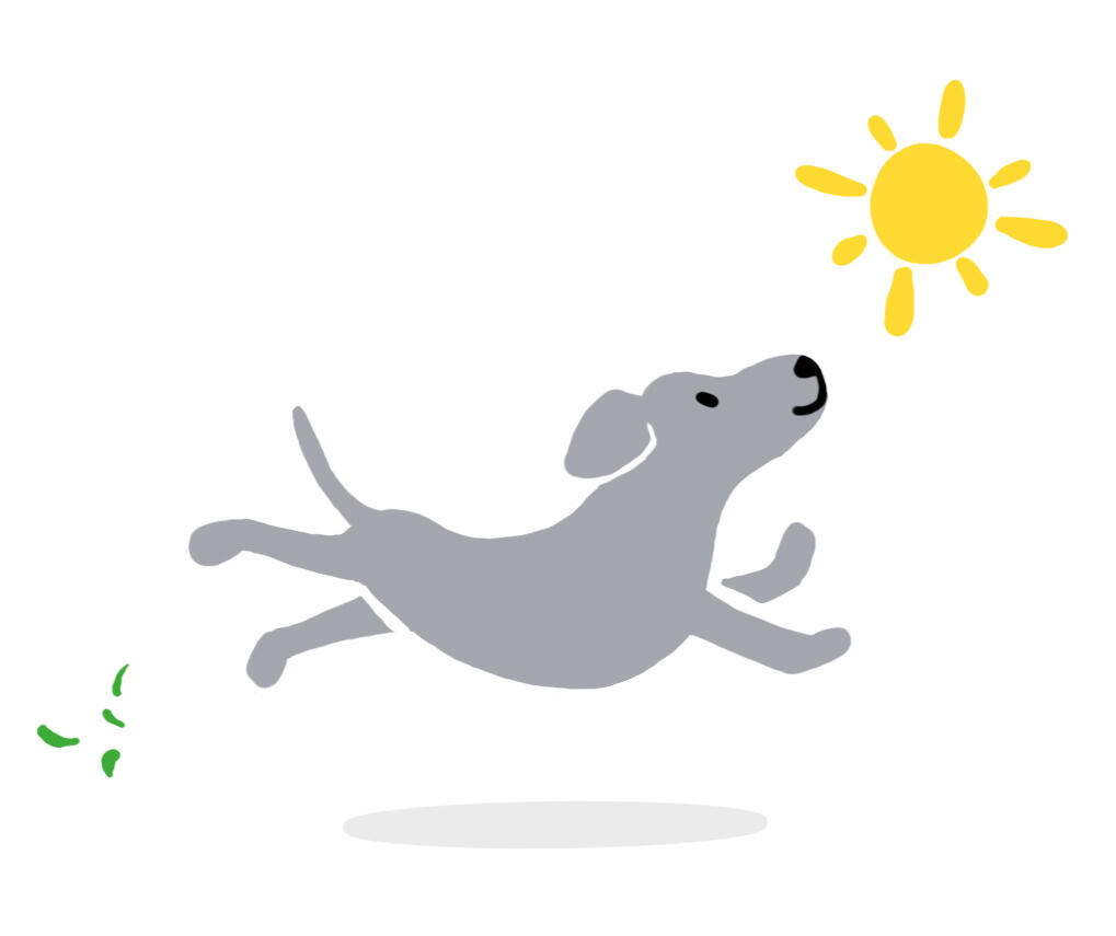 A Bark Idea Sun Design