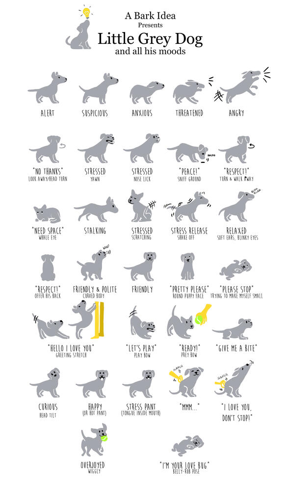 A Bark Idea Doggie Language Guide