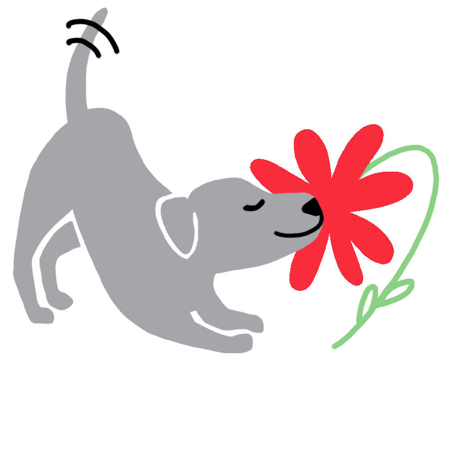 A Bark Idea Sniff Design